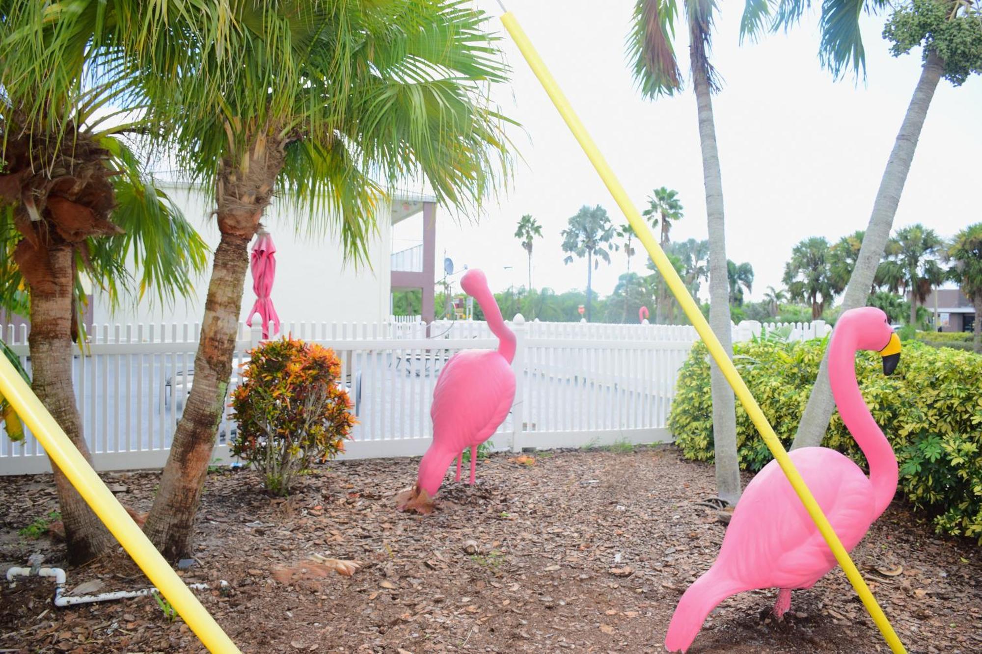 Flamingo Motel 奥基乔比 外观 照片